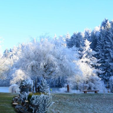 Umgebung | Winterlandschaft im Bürgisweyerbad