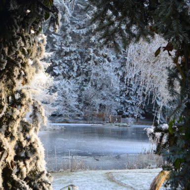 Umgebung | Winterlandschaft im Bürgisweyerbad